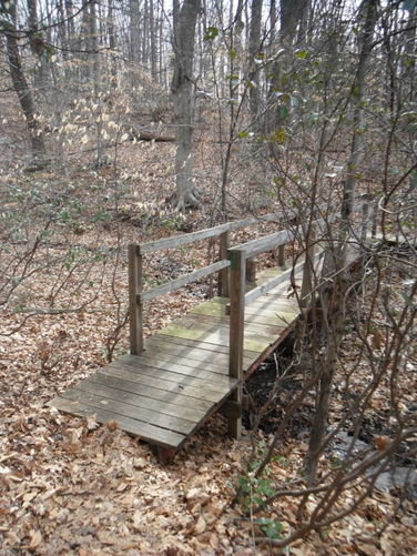 Picture 8 of Motts Run Reservoir Hike 040813