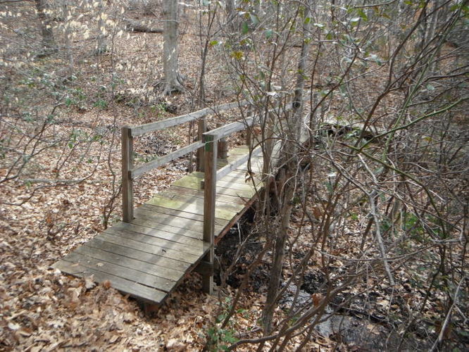 Picture 9 of Motts Run Reservoir Hike 040813