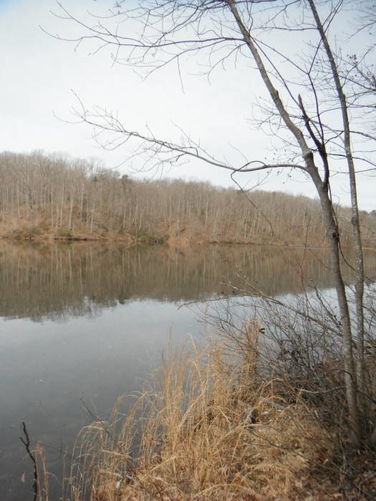 Picture 11 of Motts Run Reservoir Hike 040813