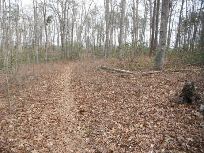 Picture 13 of Motts Run Reservoir Hike 040813