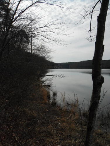 Picture 19 of Motts Run Reservoir Hike 040813
