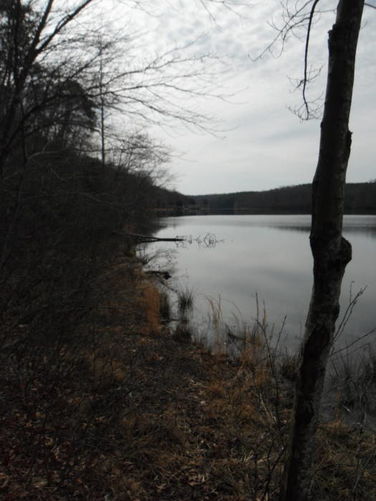 Picture 20 of Motts Run Reservoir Hike 040813
