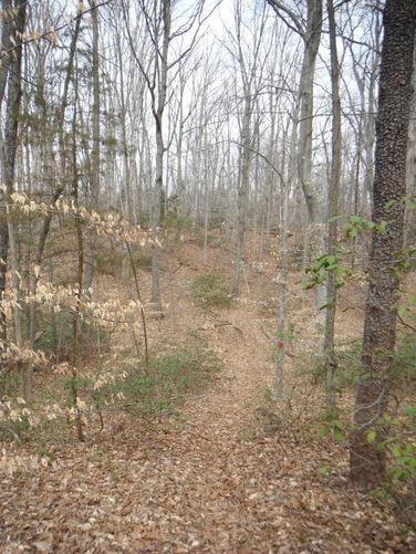 Picture 21 of Motts Run Reservoir Hike 040813