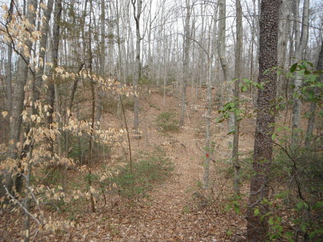 Picture 22 of Motts Run Reservoir Hike 040813