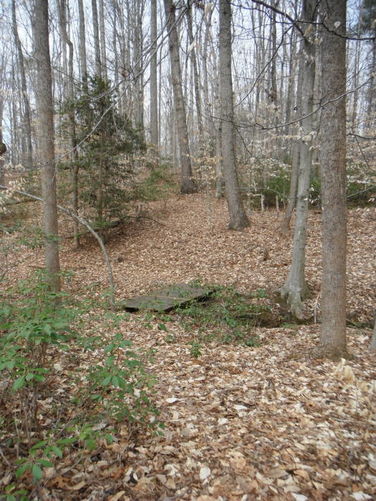 Picture 26 of Motts Run Reservoir Hike 040813