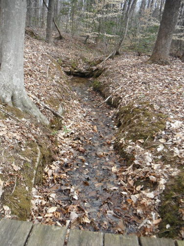 Picture 27 of Motts Run Reservoir Hike 040813