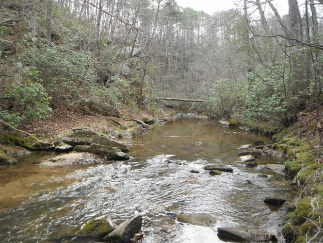 Picture 28 of Motts Run Reservoir Hike 040813