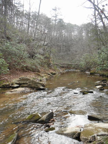 Picture 30 of Motts Run Reservoir Hike 040813
