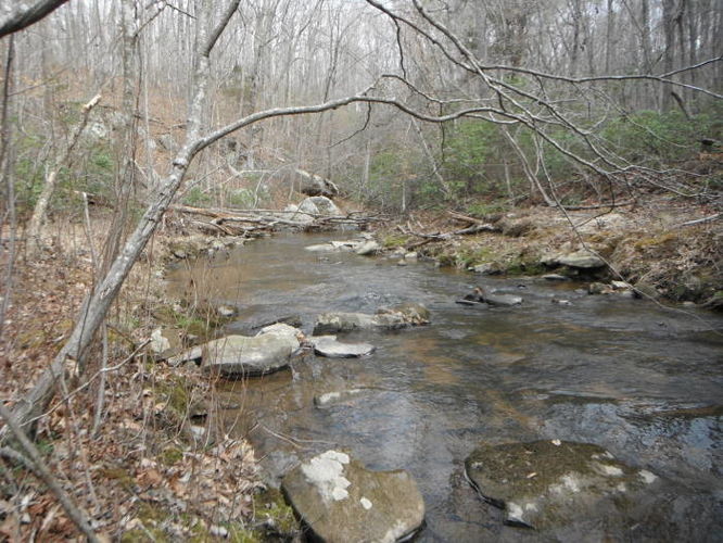 Picture 31 of Motts Run Reservoir Hike 040813