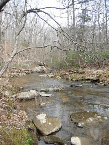 Picture 32 of Motts Run Reservoir Hike 040813