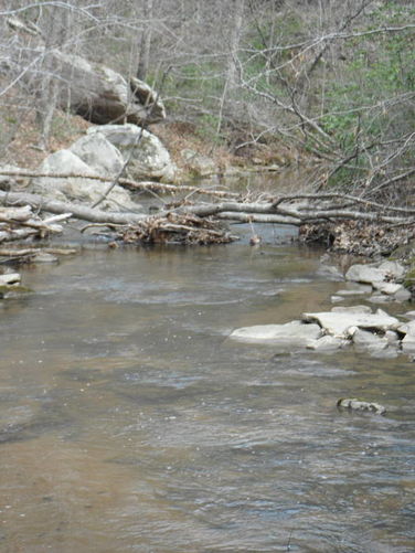 Picture 33 of Motts Run Reservoir Hike 040813