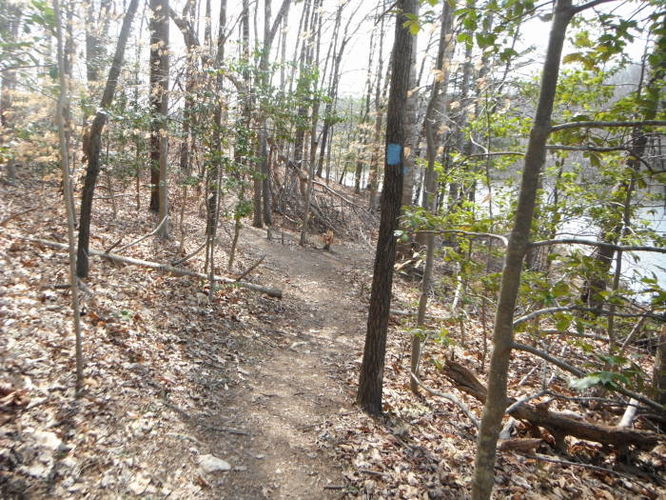 Picture 36 of Motts Run Reservoir Hike 040813