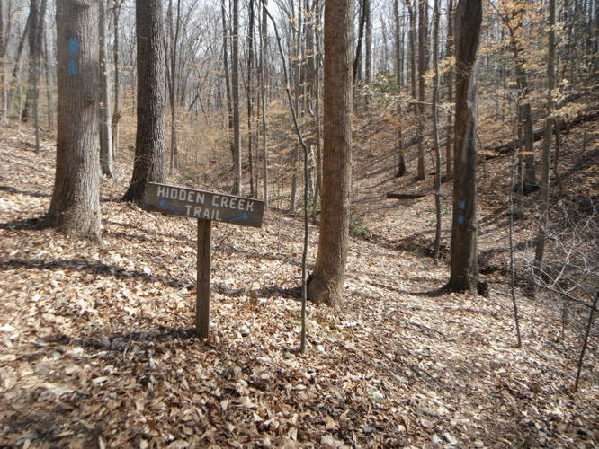 Picture 37 of Motts Run Reservoir Hike 040813