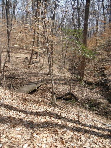 Picture 38 of Motts Run Reservoir Hike 040813