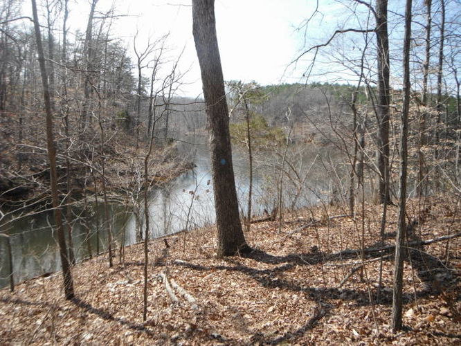 Picture 40 of Motts Run Reservoir Hike 040813
