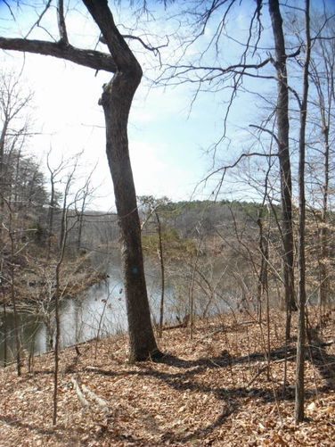 Picture 41 of Motts Run Reservoir Hike 040813
