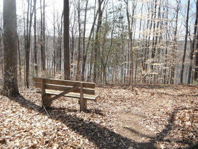 Picture 43 of Motts Run Reservoir Hike 040813