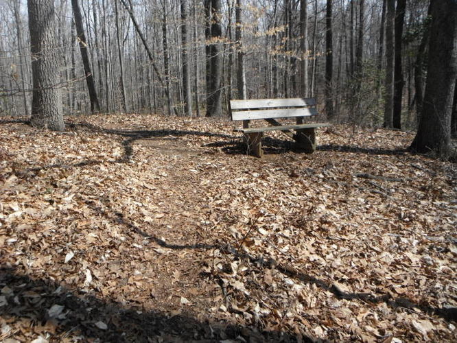 Picture 46 of Motts Run Reservoir Hike 040813