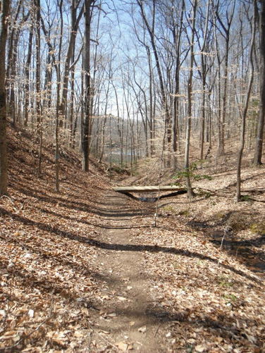 Picture 47 of Motts Run Reservoir Hike 040813