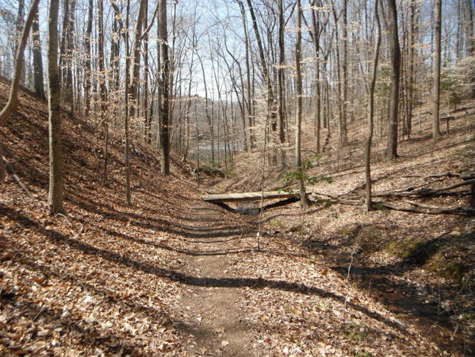Picture 48 of Motts Run Reservoir Hike 040813