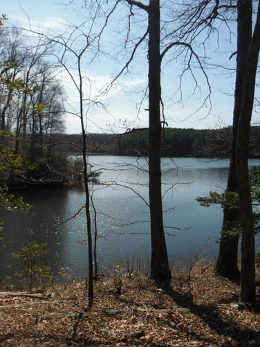 Picture 51 of Motts Run Reservoir Hike 040813