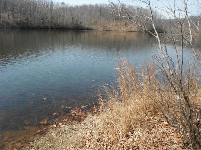 Picture 52 of Motts Run Reservoir Hike 040813