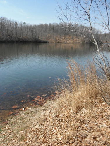 Picture 53 of Motts Run Reservoir Hike 040813