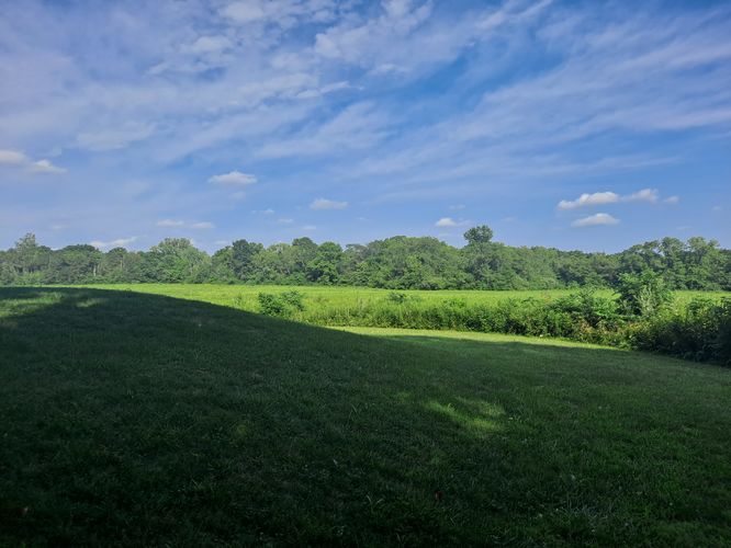 Picture 1 of Mound