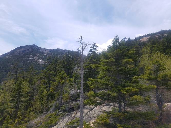 Picture 9 of Mount Chocorua via Piper Trail