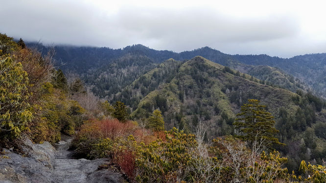 Default image for Mount LeConte via Alum Cave Trail, a 11.9-mile trail in Gatlinburg, TN (US)
