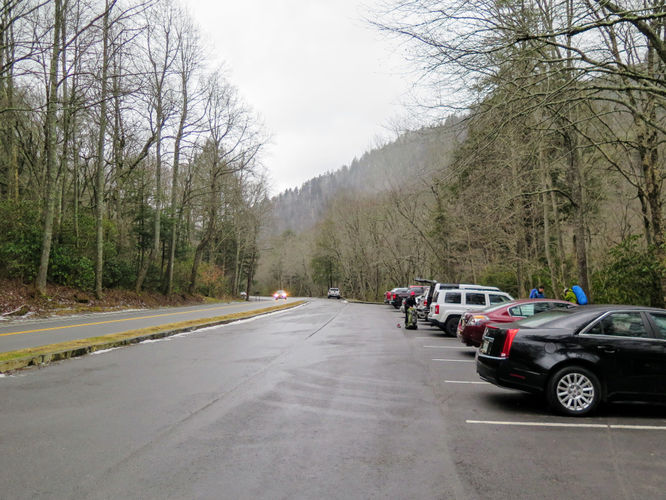 Picture 52 of Mount LeConte via Alum Cave Trail