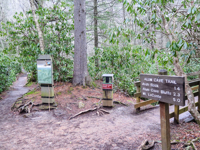 Picture 51 of Mount LeConte via Alum Cave Trail