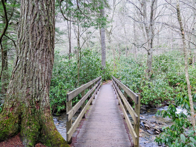 Picture 49 of Mount LeConte via Alum Cave Trail