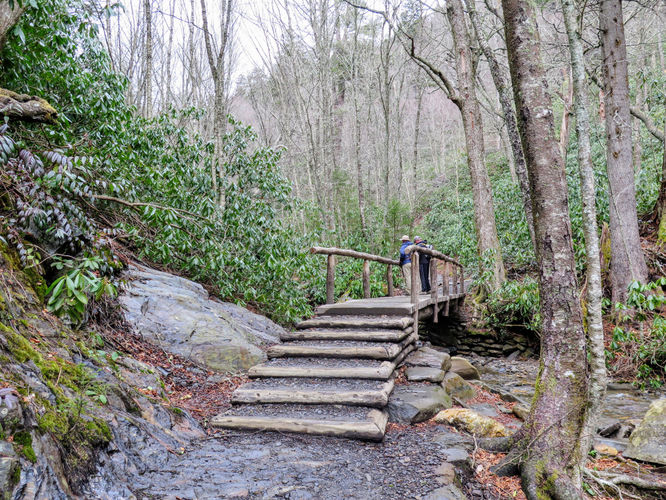 Picture 48 of Mount LeConte via Alum Cave Trail