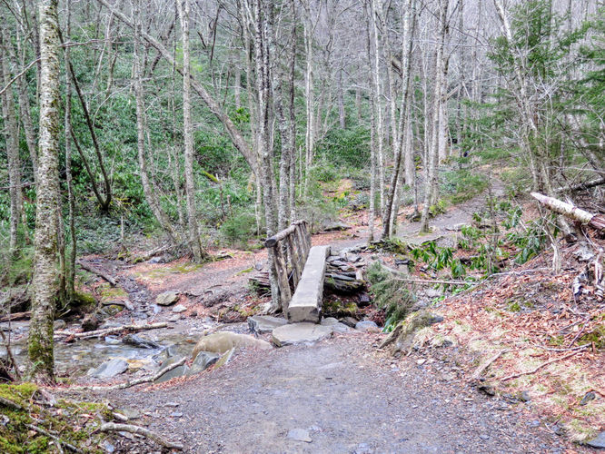 Picture 47 of Mount LeConte via Alum Cave Trail