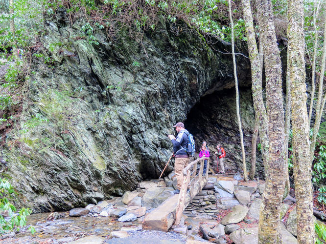 Picture 45 of Mount LeConte via Alum Cave Trail