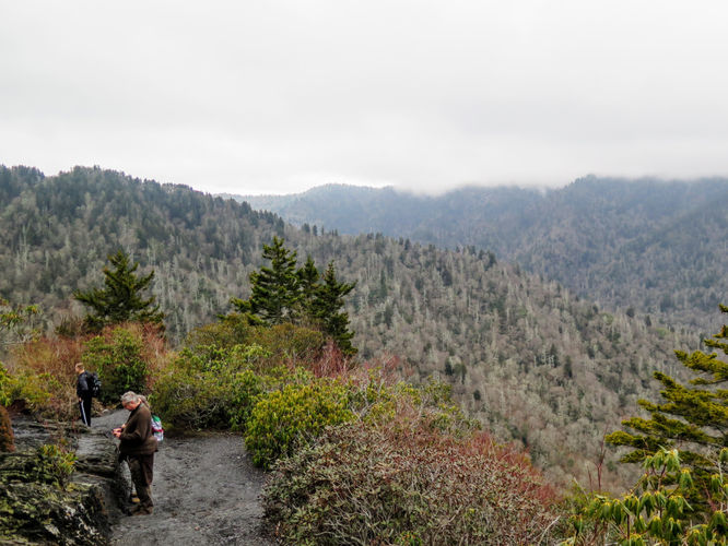 Picture 42 of Mount LeConte via Alum Cave Trail