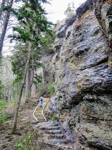 Picture 39 of Mount LeConte via Alum Cave Trail