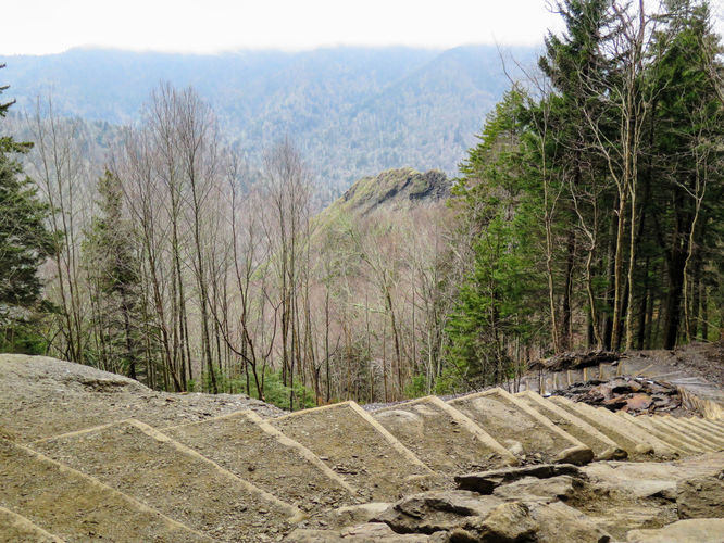 Picture 38 of Mount LeConte via Alum Cave Trail
