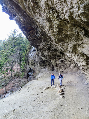 Picture 37 of Mount LeConte via Alum Cave Trail
