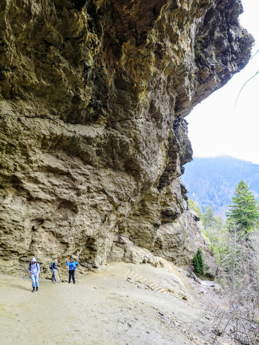 Picture 36 of Mount LeConte via Alum Cave Trail