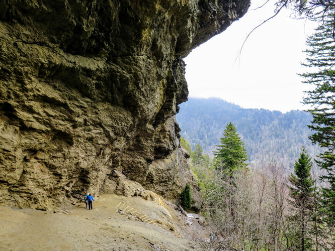 Picture 35 of Mount LeConte via Alum Cave Trail