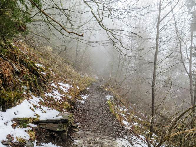 Picture 34 of Mount LeConte via Alum Cave Trail