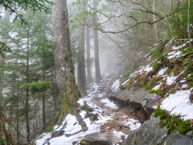 Picture 33 of Mount LeConte via Alum Cave Trail