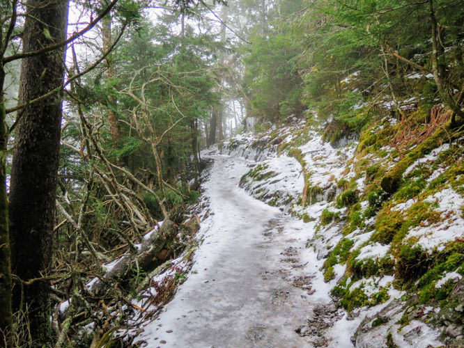 Picture 32 of Mount LeConte via Alum Cave Trail