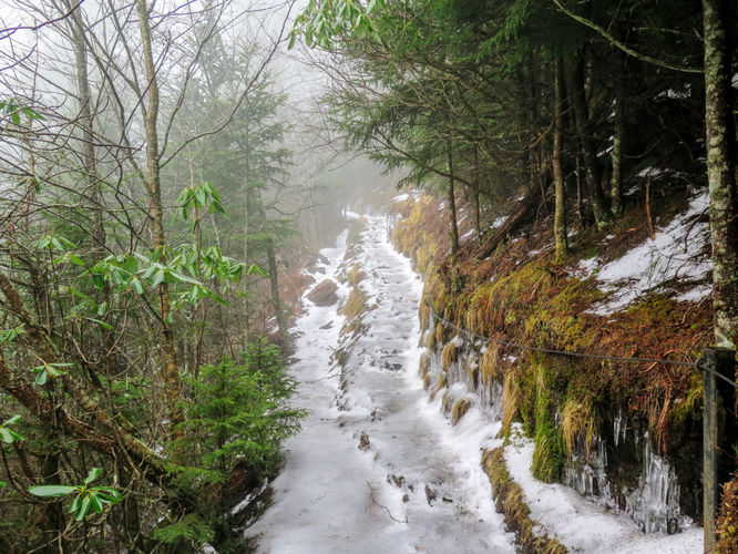 Picture 31 of Mount LeConte via Alum Cave Trail