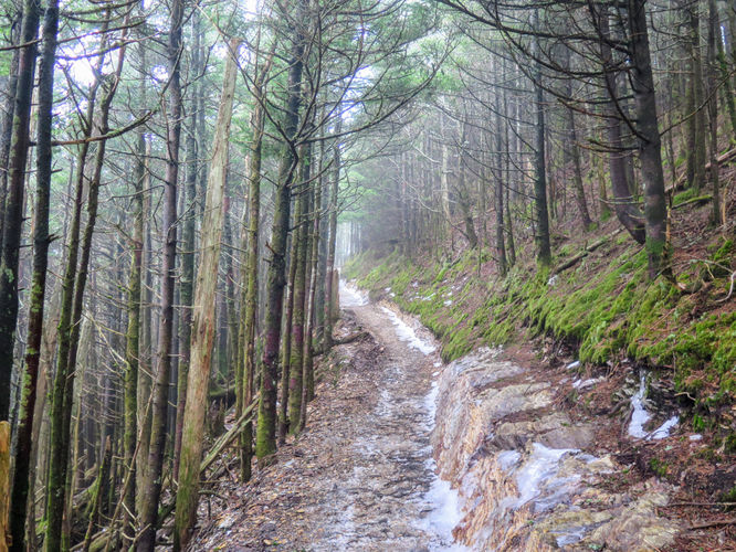 Picture 30 of Mount LeConte via Alum Cave Trail