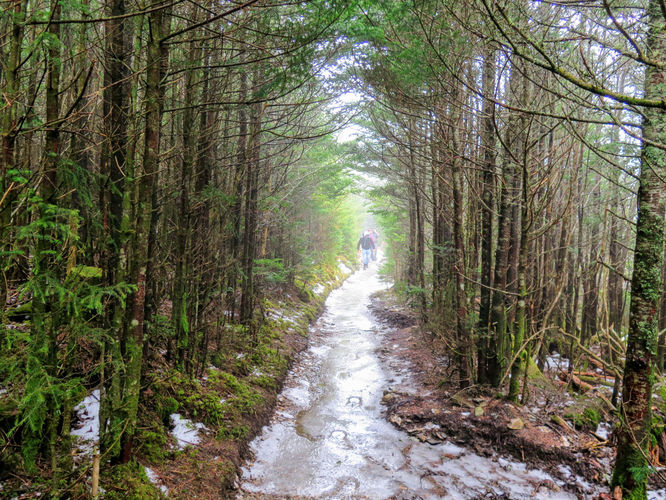 Picture 29 of Mount LeConte via Alum Cave Trail