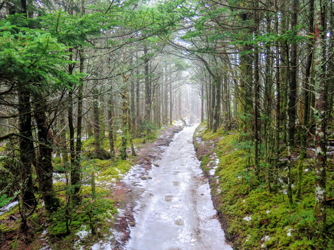 Picture 28 of Mount LeConte via Alum Cave Trail