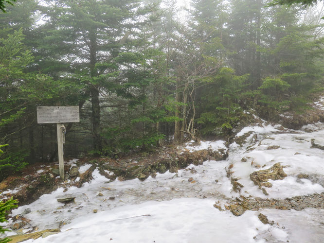 Picture 26 of Mount LeConte via Alum Cave Trail
